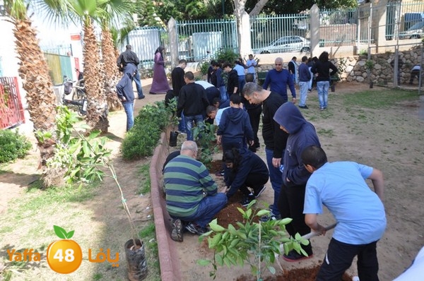 trees shamela 0321 (8).JPG